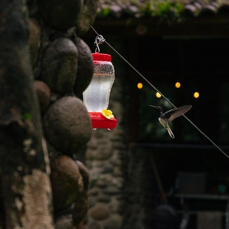 Pura Vista Glamping Hotel El Castillo Ngoại thất bức ảnh