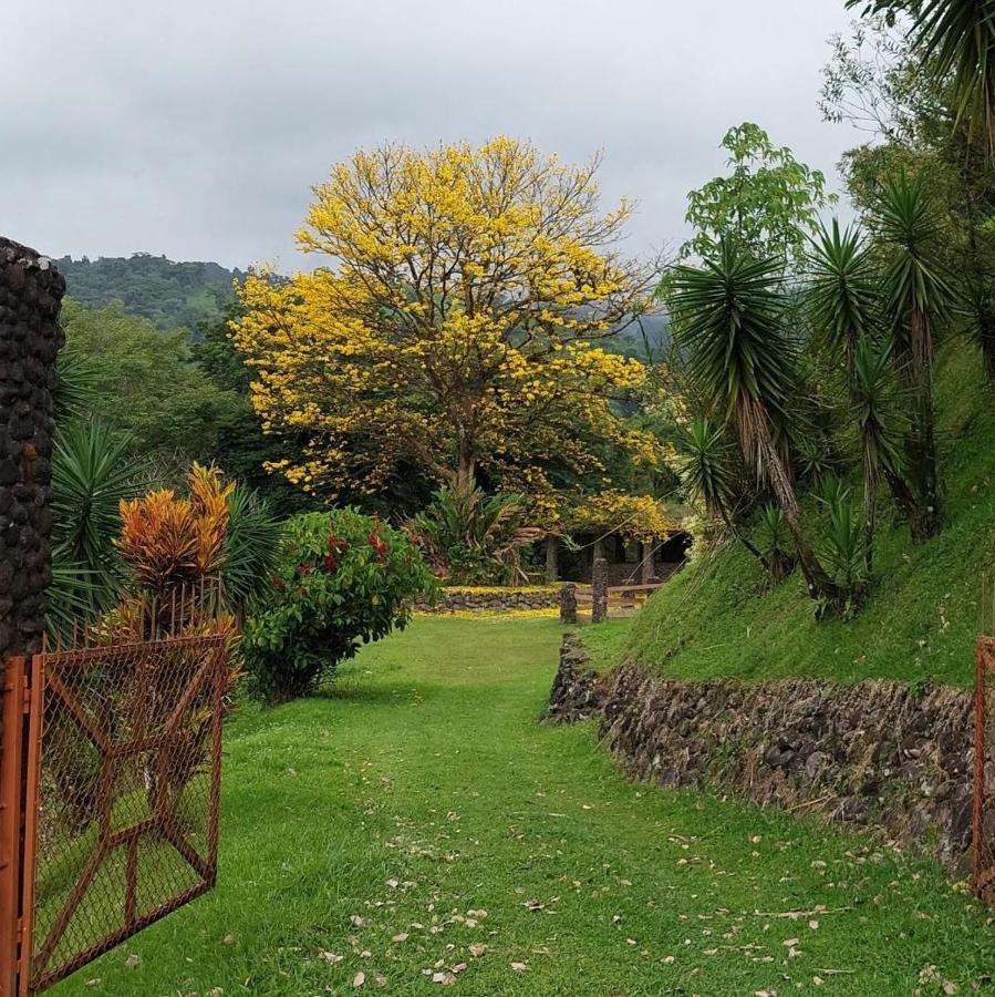 Pura Vista Glamping Hotel El Castillo Ngoại thất bức ảnh