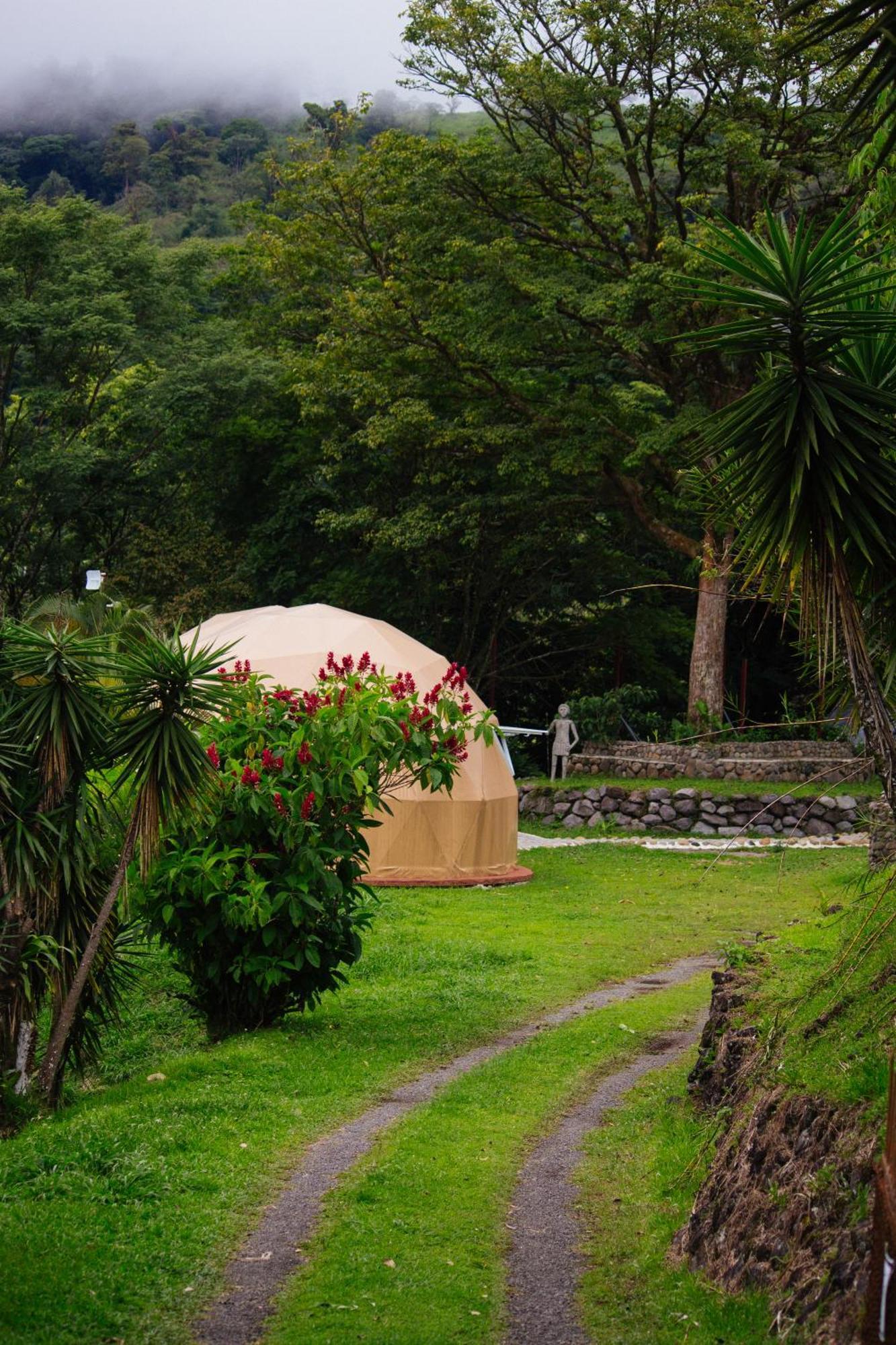 Pura Vista Glamping Hotel El Castillo Ngoại thất bức ảnh