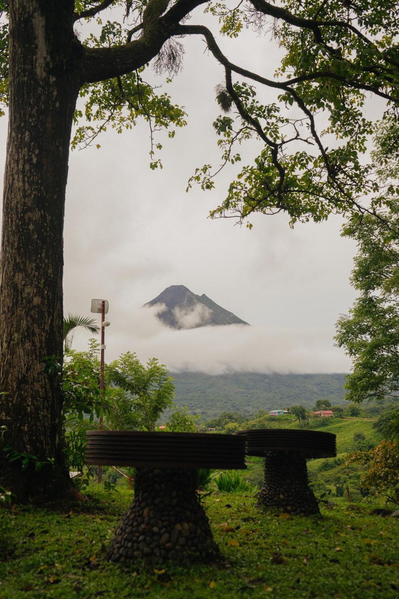 Pura Vista Glamping Hotel El Castillo Ngoại thất bức ảnh